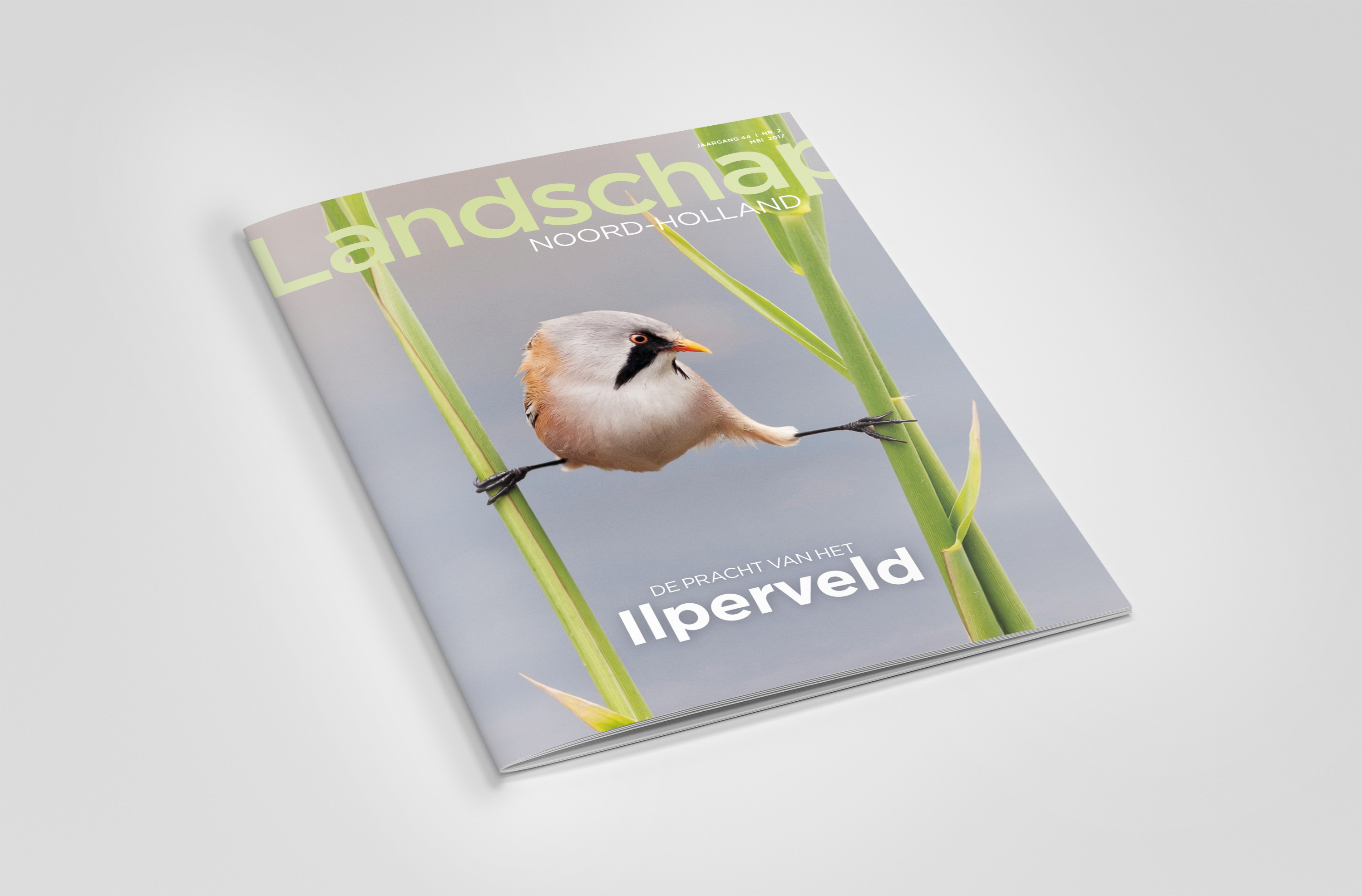 Landschap Noord-Holland Magazine