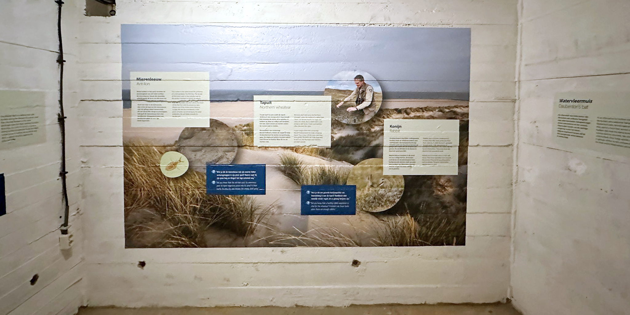 LNH Bunker Zanddijk beplakking 2025