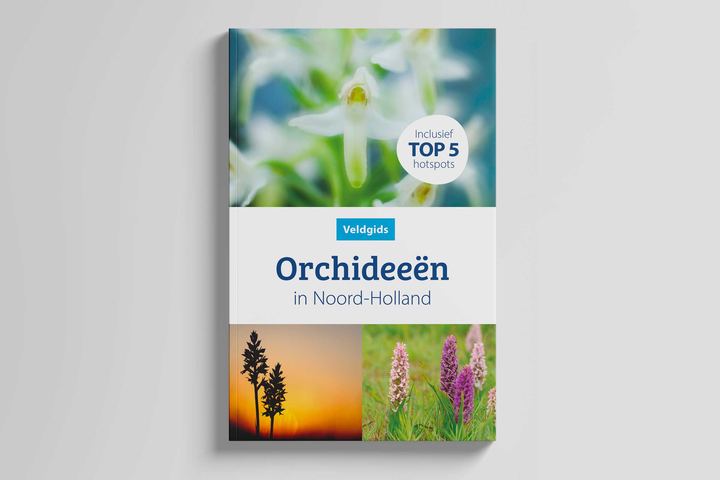 Veldgids Orchideeën in Noord-Holland